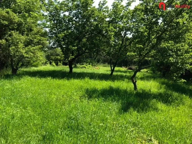 Prodej zahrady, Dalovice, 5231 m2