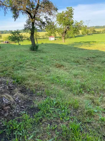 Prodej zahrady, Babice, 1000 m2