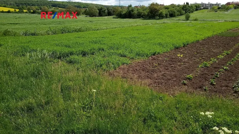 Prodej pole, Drnovice, 32235 m2