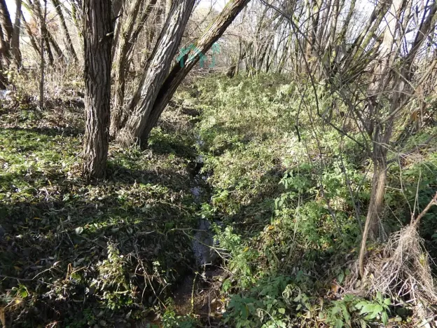 Prodej louky, Kamenice, 1863 m2