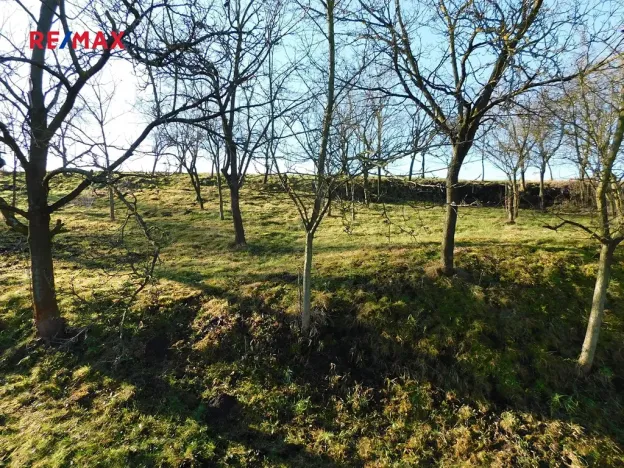 Prodej pozemku pro bydlení, Prace, 842 m2