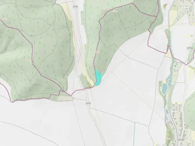 Prodej lesa, Lomnička, 7166 m2