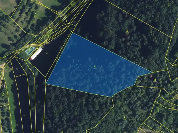 Prodej lesa, Tišnov, 10357 m2