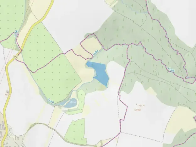 Prodej lesa, Rohozec, 20988 m2