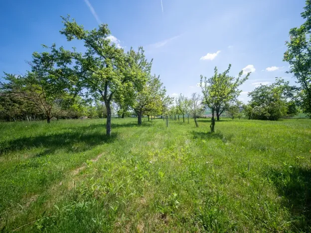 Prodej pozemku pro bydlení, Bučovice, Náhorní, 7851 m2