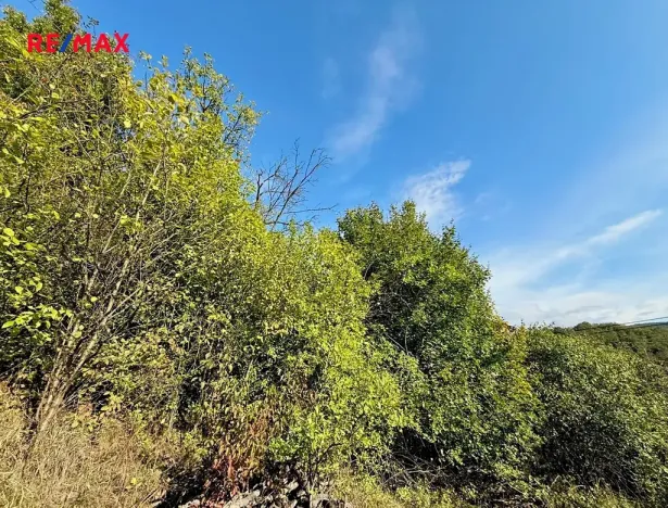 Prodej zahrady, Bílovice nad Svitavou, 589 m2