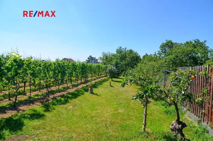 Prodej zahrady, Mikulov, 997 m2