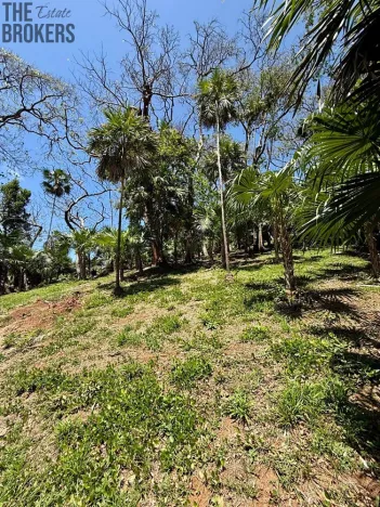 Prodej pozemku, Coxen Hole, Roatán, Honduras, 1902 m2