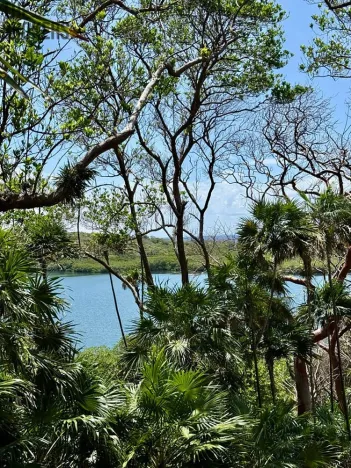 Prodej pozemku, Coxen Hole, Roatán, Honduras, 1902 m2