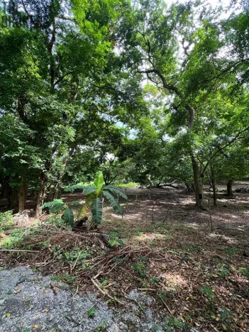 Prodej pozemku, Coxen Hole, Roatán, Honduras, 3265 m2