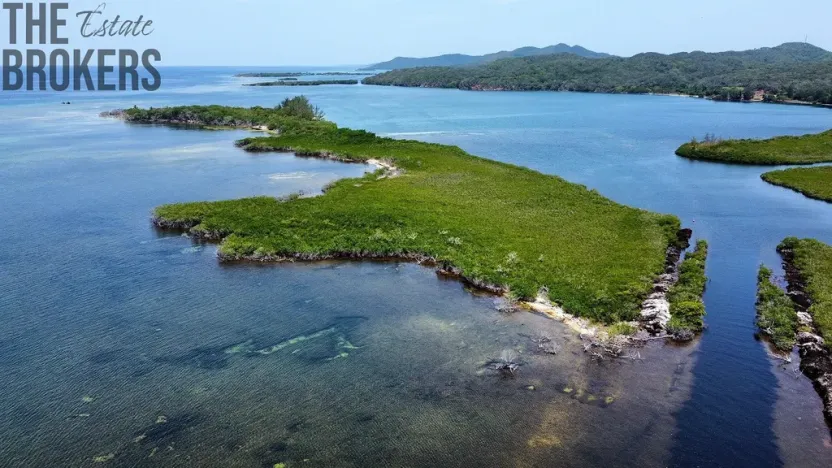 Prodej pozemku, Port Royal, José Santos Guardiola, Honduras, 161996 m2