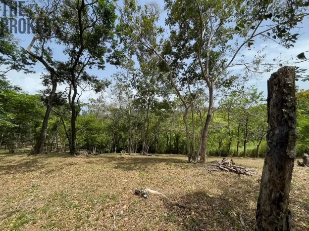 Prodej pozemku, Coxen Hole, Roatán, Honduras, 1884 m2