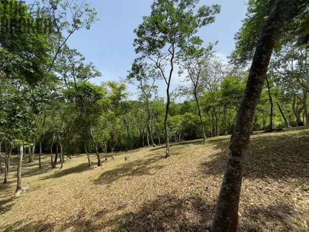 Prodej pozemku, Coxen Hole, Roatán, Honduras, 1884 m2