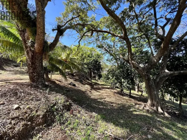 Prodej pozemku, Coxen Hole, Roatán, Honduras, 1966 m2