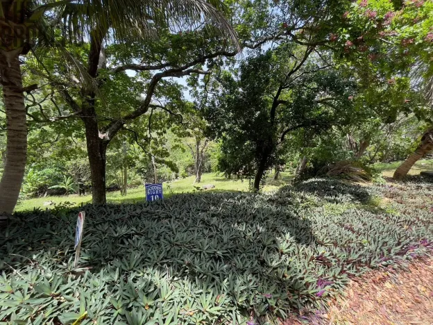 Prodej pozemku, Coxen Hole, Roatán, Honduras, 1872 m2