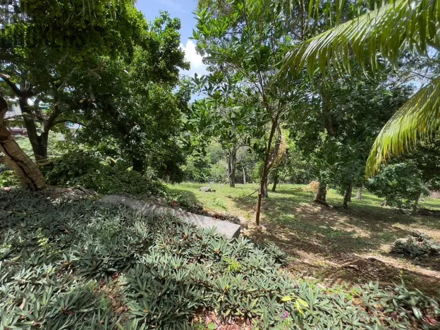 Prodej pozemku, Coxen Hole, Roatán, Honduras, 1872 m2