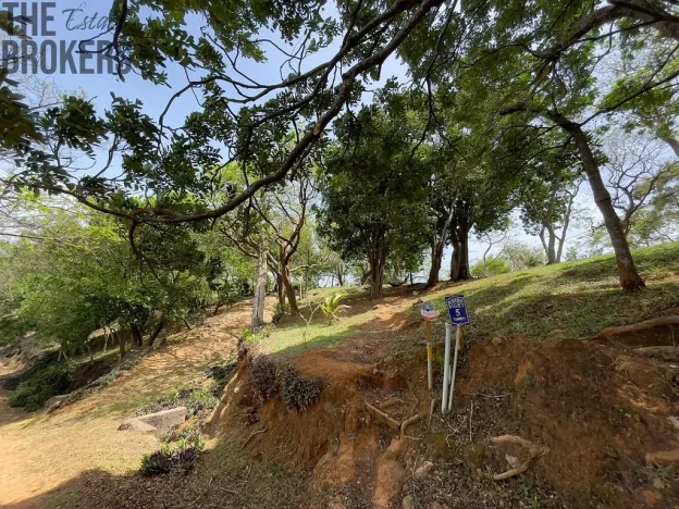 Prodej pozemku, Coxen Hole, Roatán, Honduras, 1821 m2