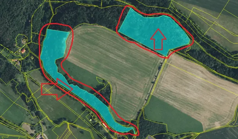 Prodej lesa, Dolní Bousov, 59634 m2