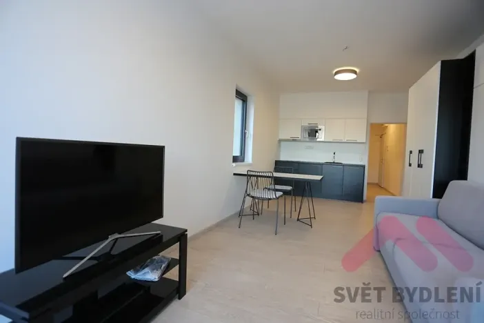 Pronájem bytu 1+kk, Praha - Karlín, U Mlýnského kanálu, 42 m2
