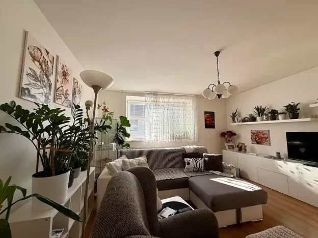 Prodej rodinného domu, Prace, K Mohyle míru, 185 m2