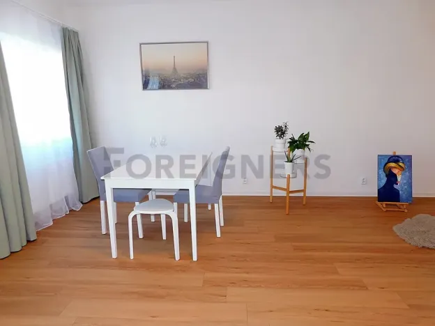 Pronájem bytu 2+kk, Plzeň, Hřímalého, 75 m2