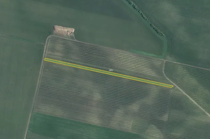 Prodej sadu/vinice, Terezín, 5465 m2