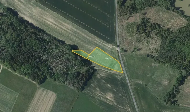 Prodej pole, Březí, 4212 m2