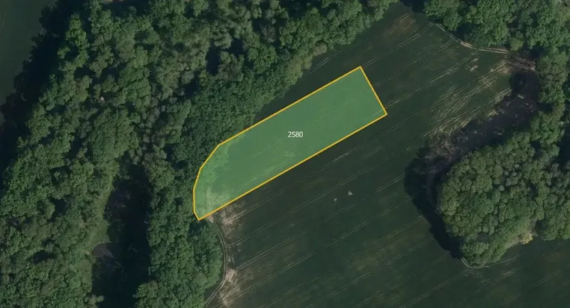 Prodej pole, Ronov nad Doubravou, 16028 m2