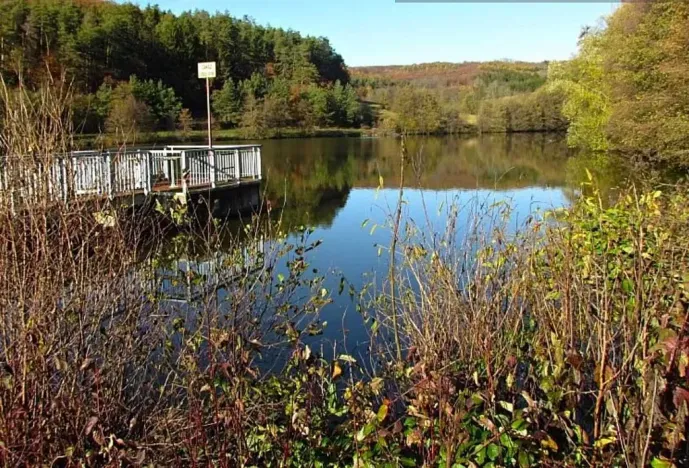 Prodej louky, Velký Ořechov, 21368 m2
