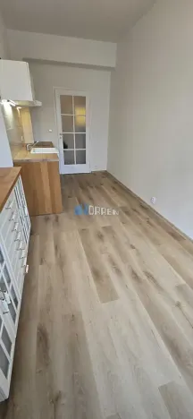 Pronájem bytu 2+1, Praha - Břevnov, Kolátorova, 59 m2