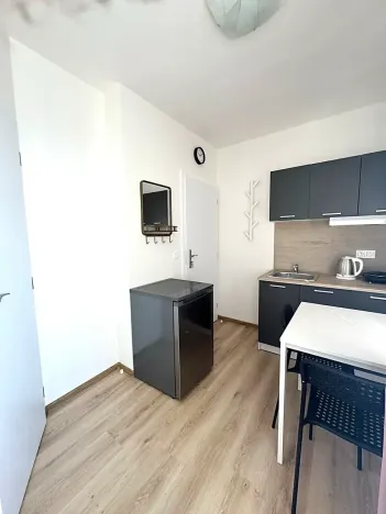 Pronájem bytu 1+kk, Kladno, Hřebečská, 16 m2