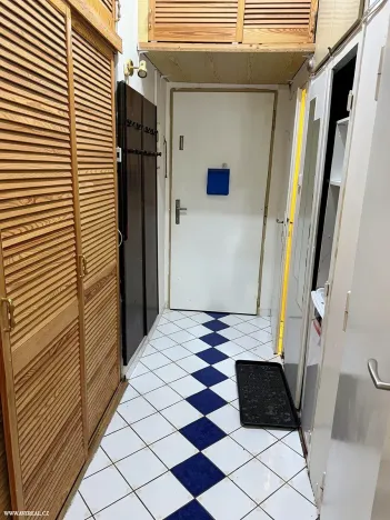 Pronájem bytu 1+1, Praha - Podolí, Nedvědovo náměstí, 32 m2