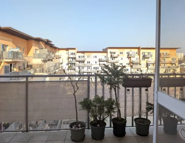 Prodej bytu 2+kk, Brno, Sedláčkova, 53 m2