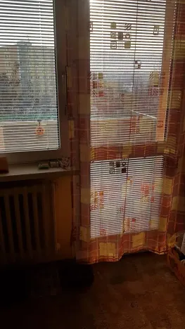 Prodej bytu 2+1, Třebíč, Fr. Hrubína, 47 m2