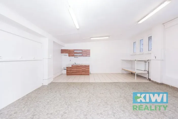 Pronájem obchodního prostoru, Ostrava, Maďarská, 44 m2