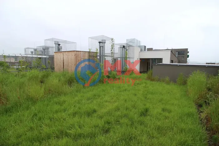 Prodej bytu 5+kk, Praha - Vršovice, Archangelská, 302 m2