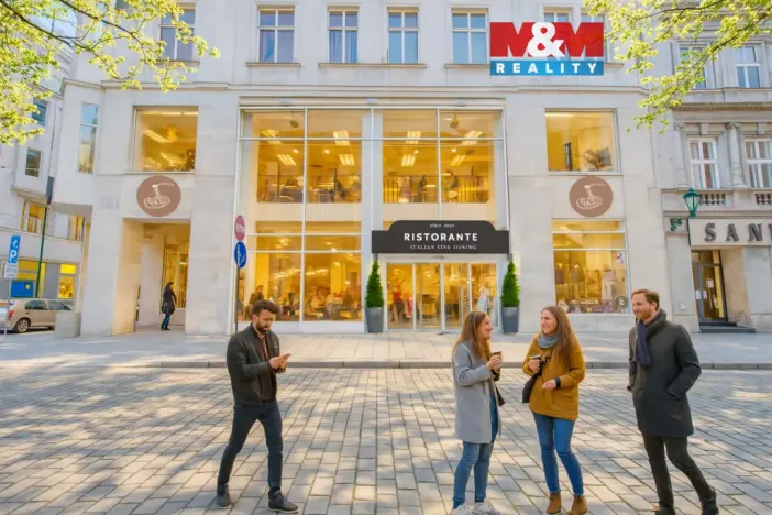 Pronájem restaurace, Plzeň - Vnitřní Město, Zbrojnická, 598 m2