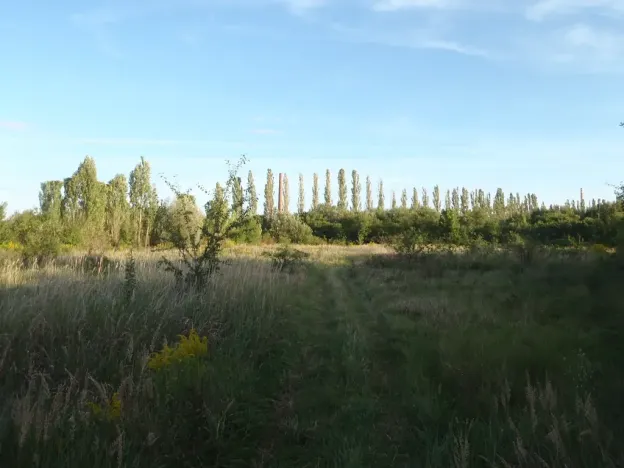 Prodej louky, Kosmonosy, 8401 m2