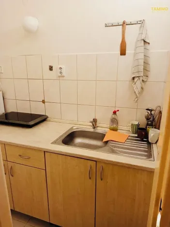 Pronájem bytu 1+kk, Třebíč, Hasskova, 23 m2