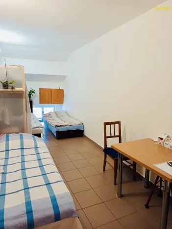 Pronájem bytu 1+kk, Třebíč, Hasskova, 23 m2