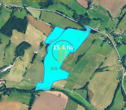 Prodej pole, Horní Olešnice, 153952 m2