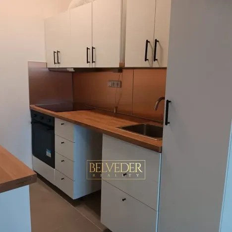 Pronájem bytu 3+kk, Litvínov, Koldům, 64 m2