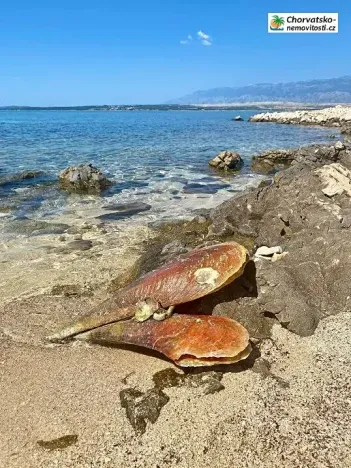 Prodej bytu 3+1, Novalja, Chorvatsko, 81 m2