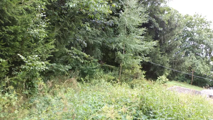 Prodej pozemku, Svoboda nad Úpou, 947 m2