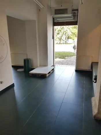 Pronájem obchodního prostoru, České Budějovice - České Budějovice 3, Pražská tř., 60 m2