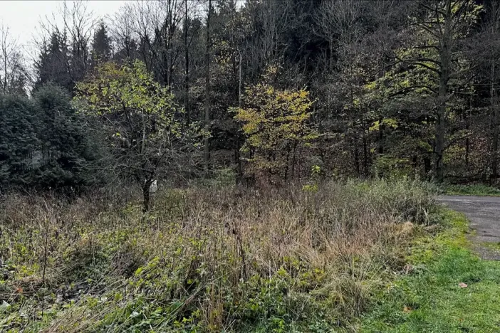 Prodej pozemku pro bydlení, Kounov, 1286 m2