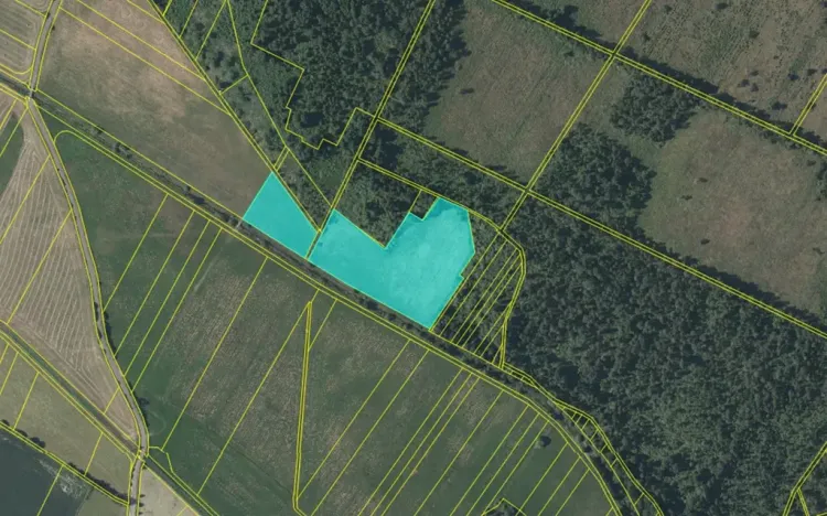 Prodej louky, Borkovice, 24246 m2