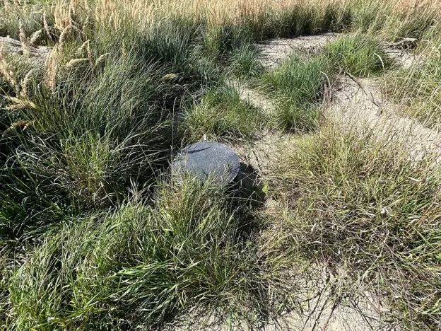 Prodej pozemku pro bydlení, Bavorov, 1396 m2