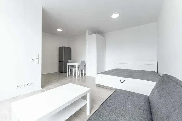 Pronájem bytu 1+kk, Praha - Nusle, Pod Děkankou, 38 m2