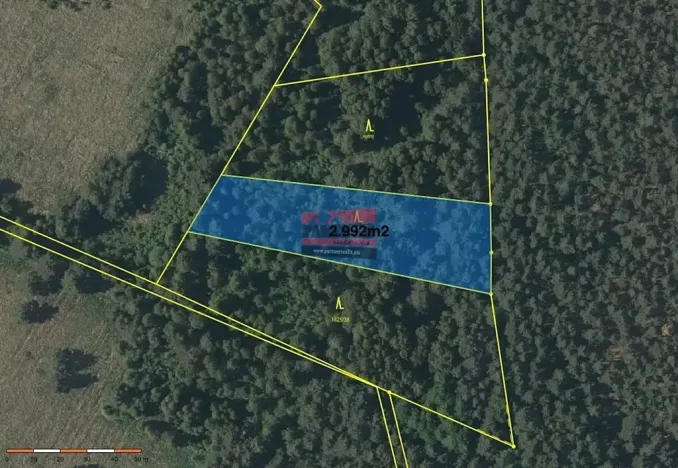 Prodej pole, Borkovice, 15132 m2